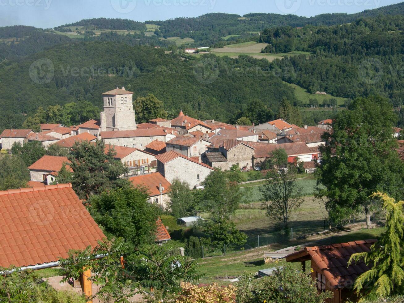 une grand arbre dans le premier plan photo