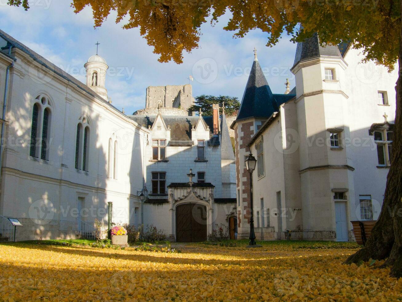 une arbre avec Jaune feuilles photo