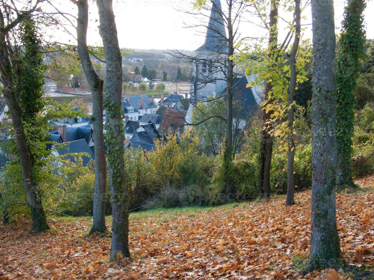 une banc dans le les bois photo