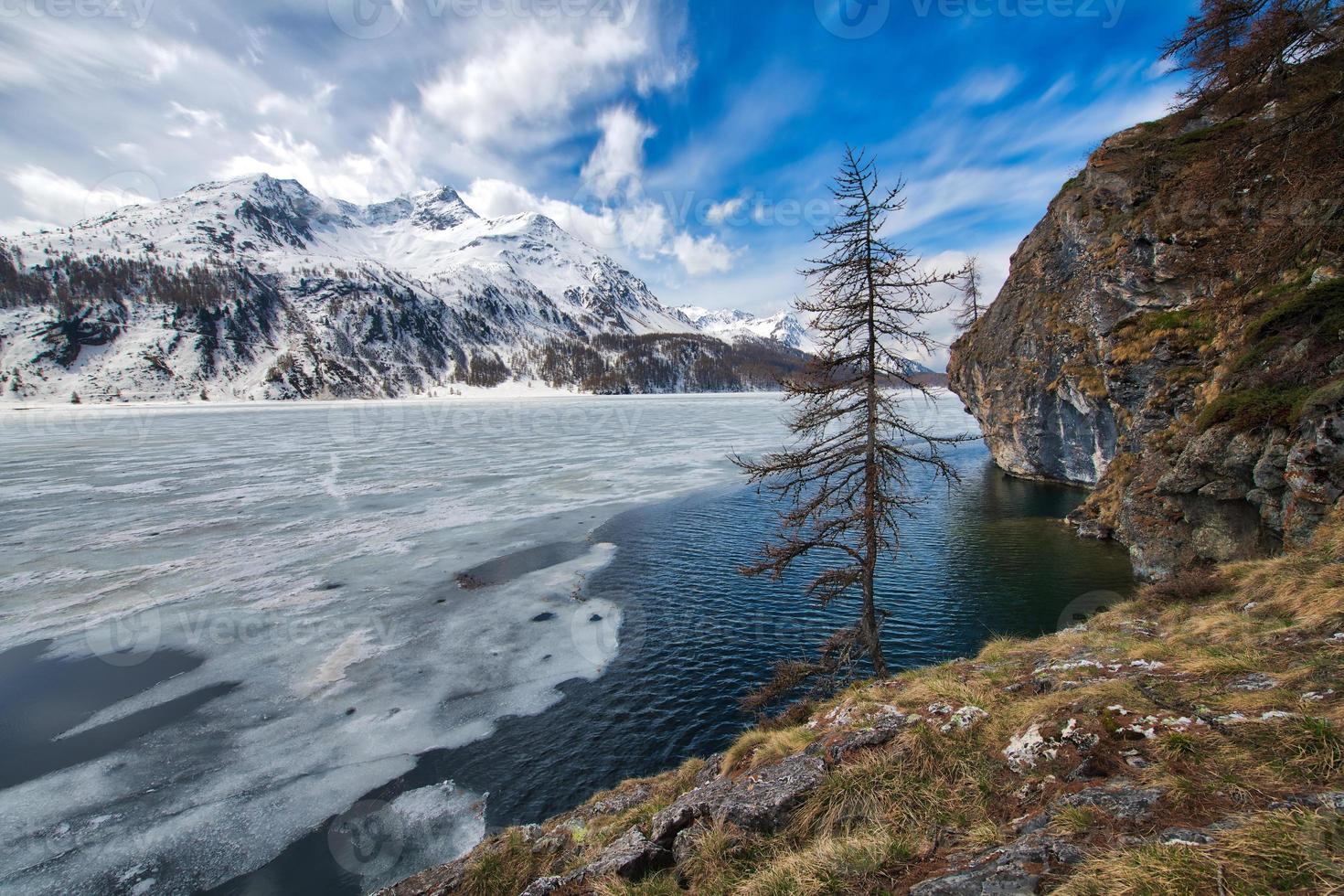 dégel dans la vallée de l'engadine près du col de maloja photo