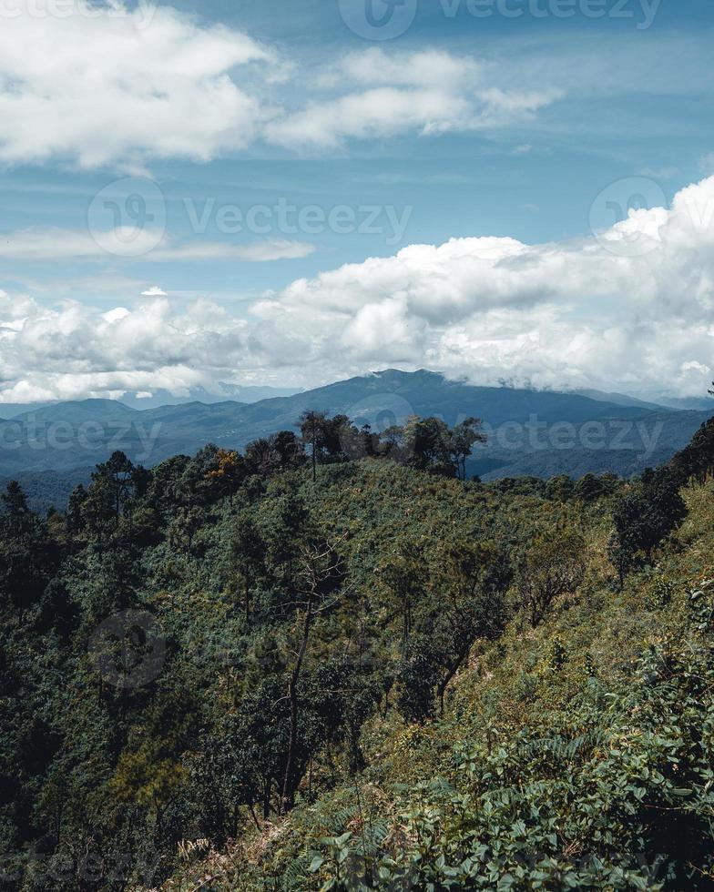 montagnes et arbres verts pendant la journée photo