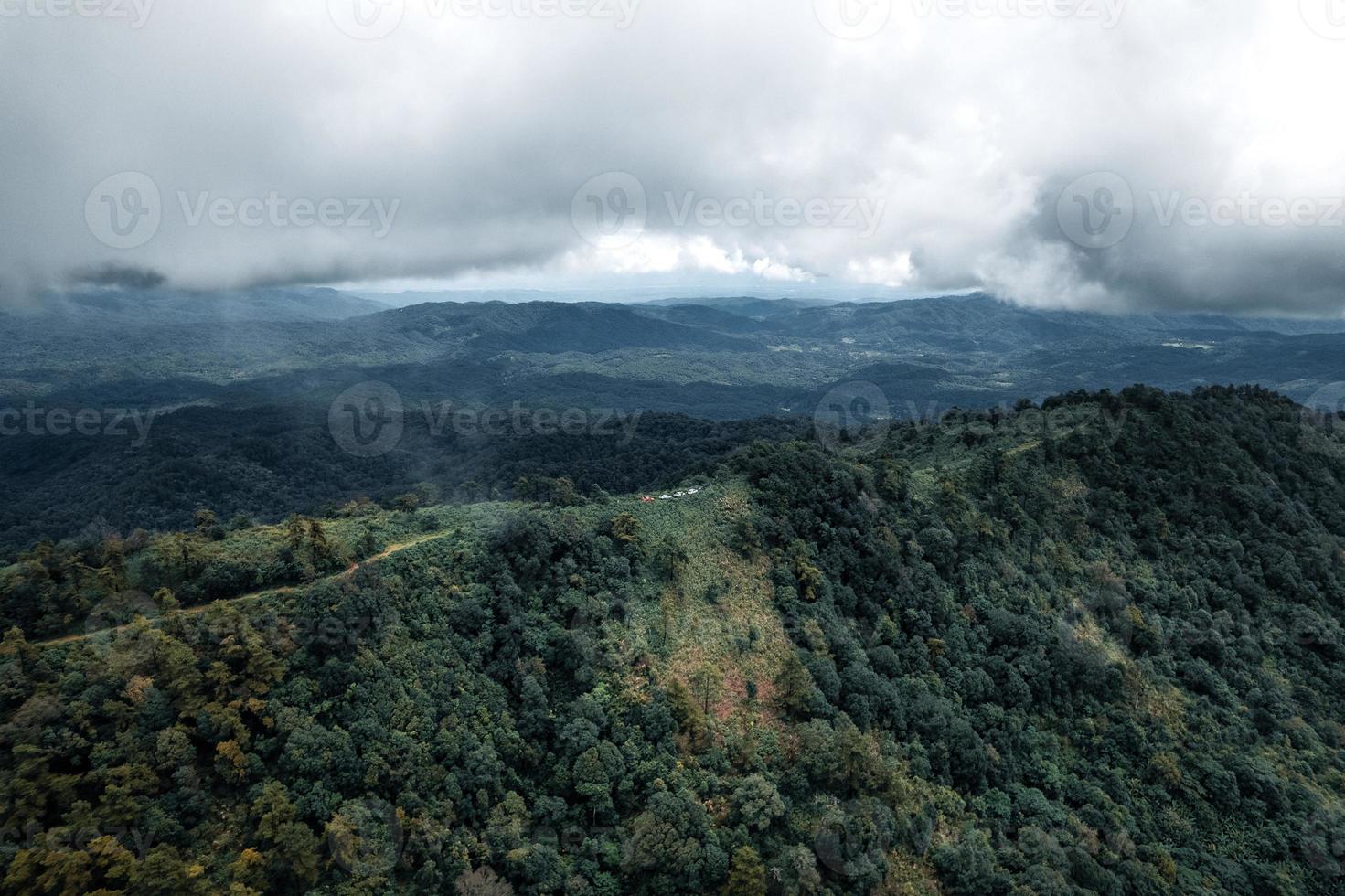 montagnes et arbres verts pendant la journée photo