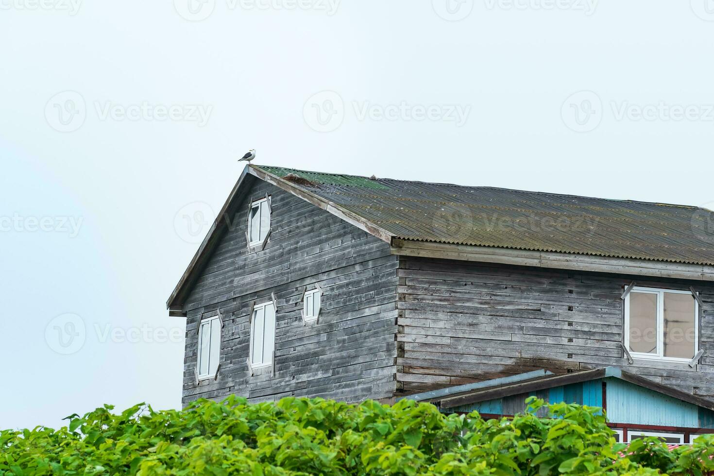 vieux en bois maison dans une côtier village avec une de mouette nid sur le toit photo