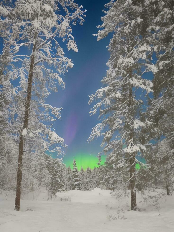 ai généré capturer la nature beauté étourdissant paysage la photographie Galerie, génératif ai photo