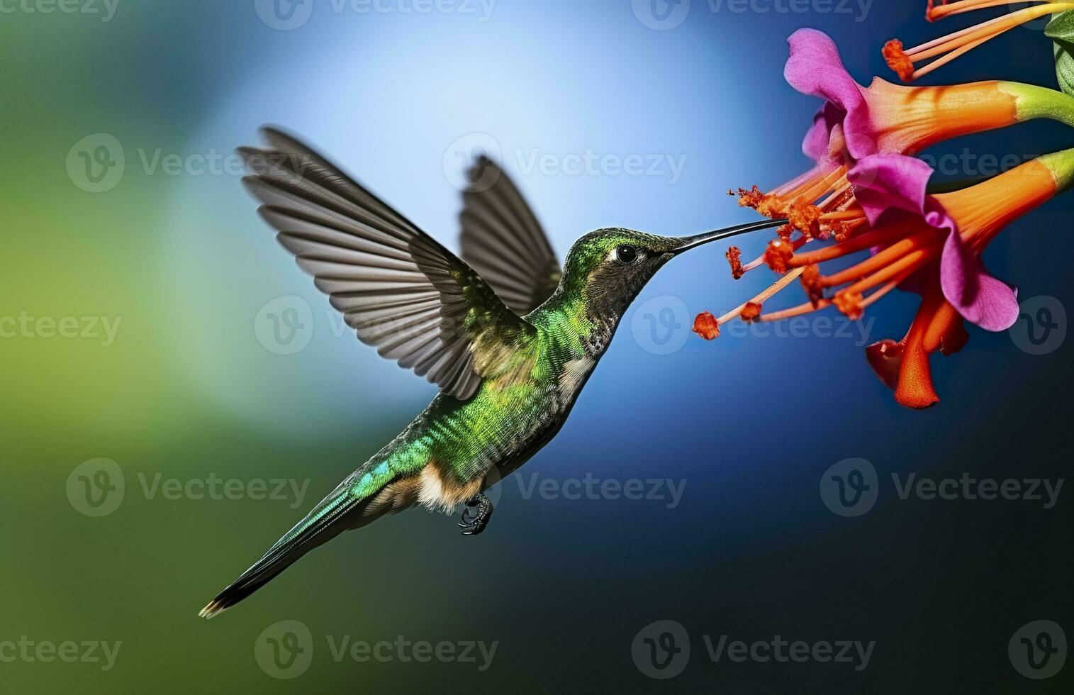 ai généré colibri oiseau en volant suivant à une magnifique rouge fleur avec pluie. ai généré photo