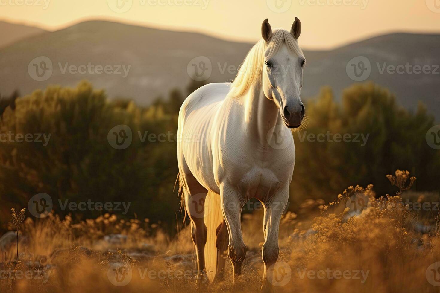 ai généré blanc cheval ou jument dans le montagnes à le coucher du soleil. ai généré photo