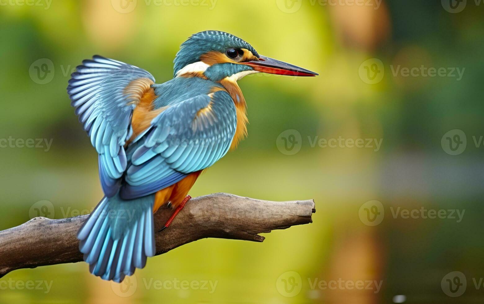 ai généré le commun martin-pêcheur marécages oiseau coloré plumes de différent des oiseaux. génératif ai photo