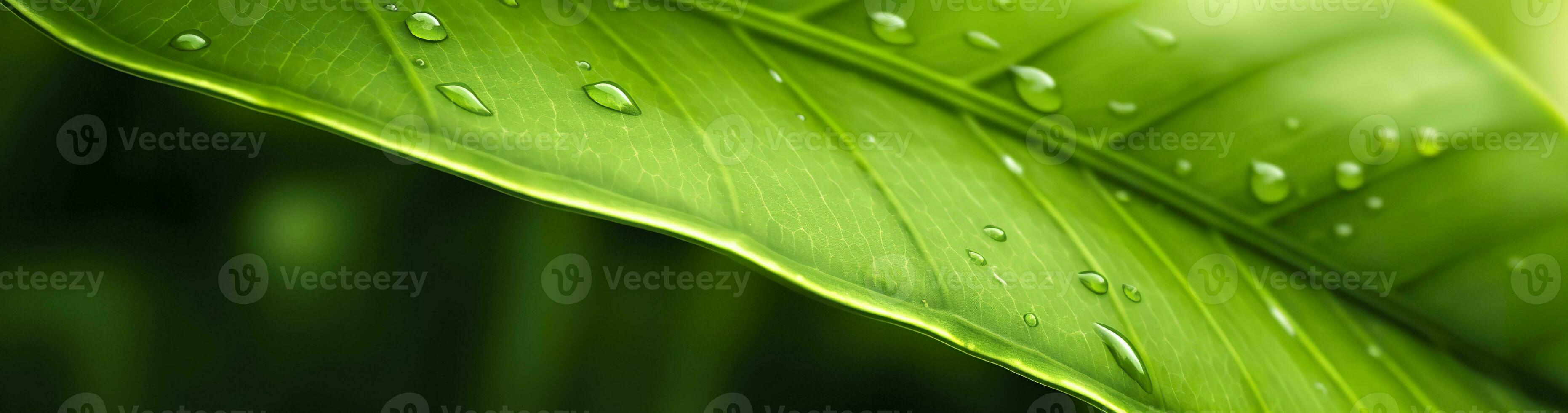 ai généré vert feuille la nature Contexte. ai généré photo