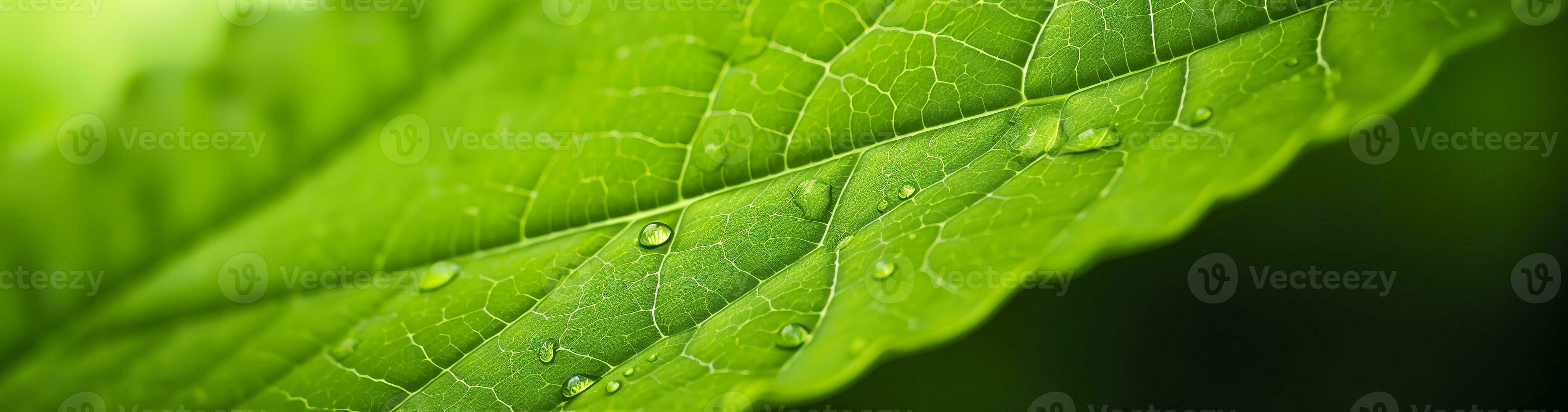 ai généré vert feuille la nature Contexte. ai généré photo