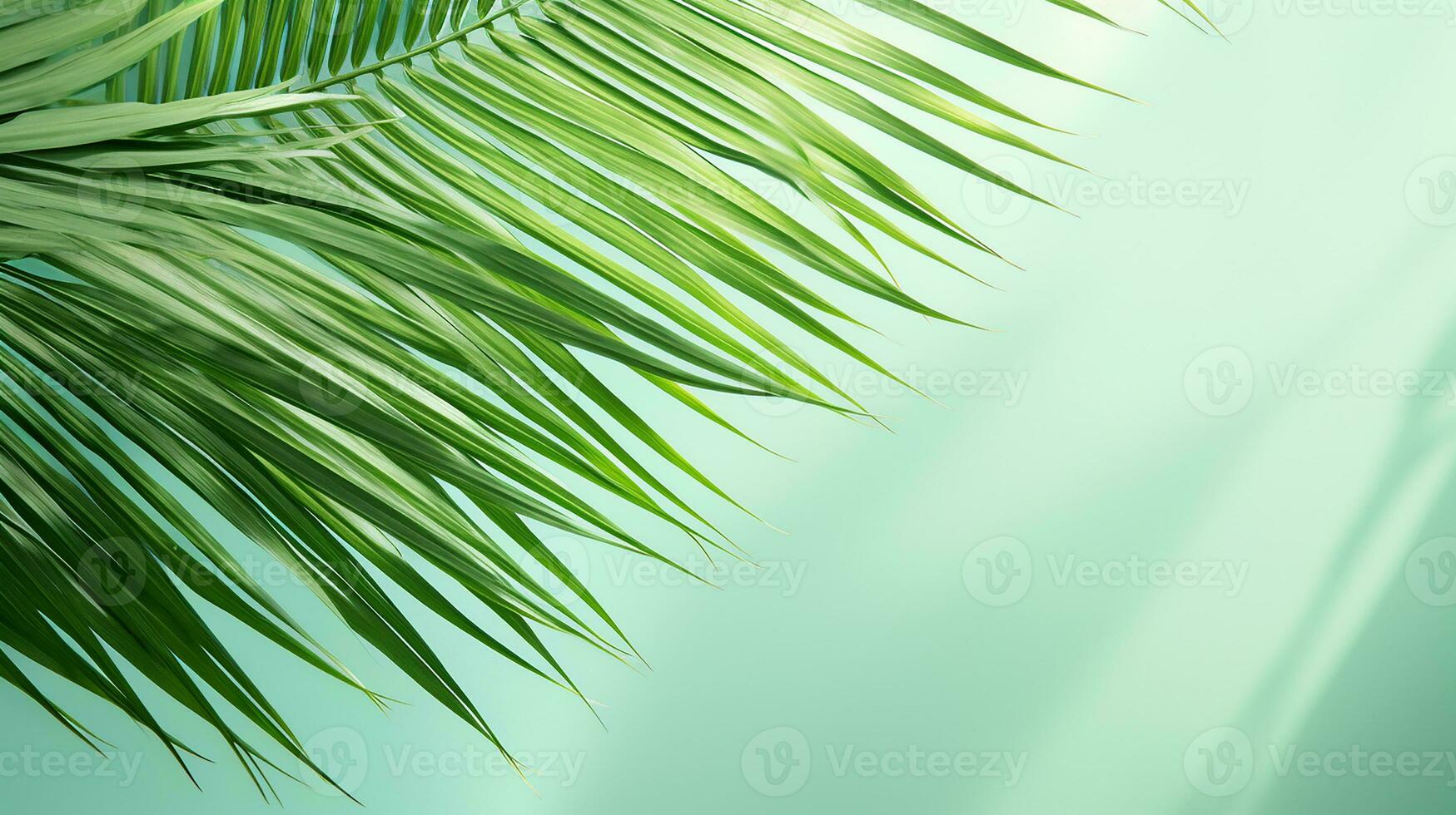 ai généré Haut vue de paume feuilles sur bleu Contexte copie espace, tropical paume feuilles de au dessus - plat allonger photo