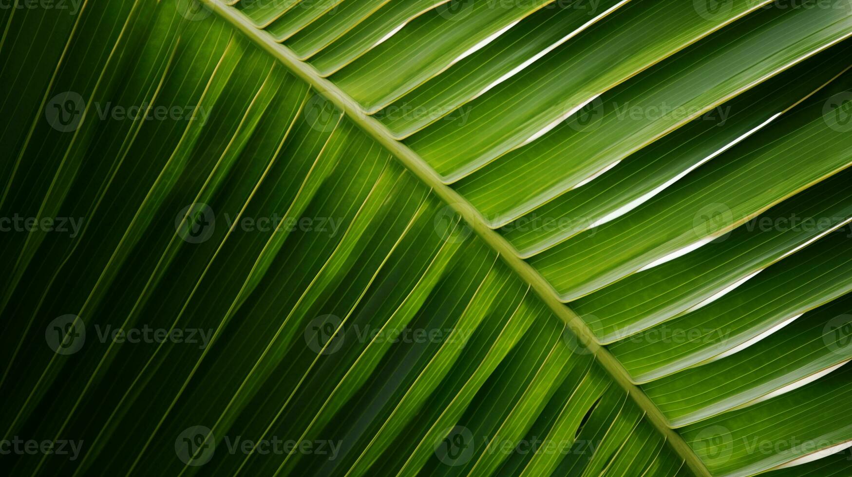 ai généré une proche en haut image de noix de coco arbre feuille photo