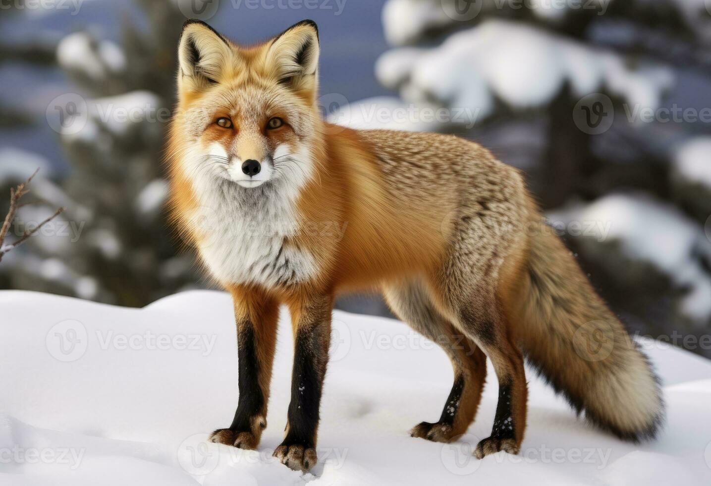 ai généré rouge Renard permanent sur neige. ai généré. photo