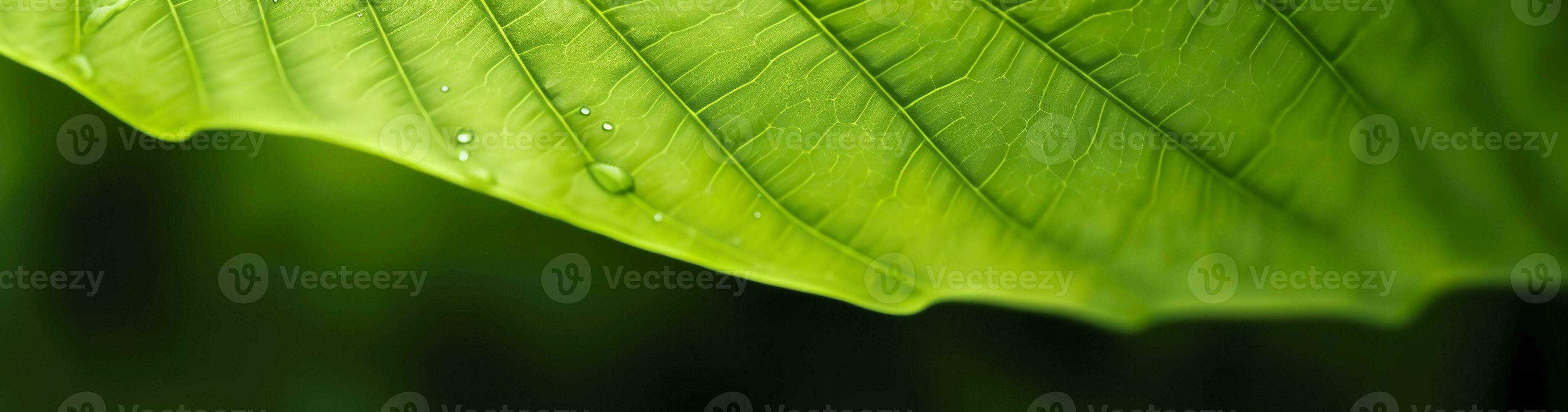 ai généré vert feuille la nature Contexte. ai généré photo