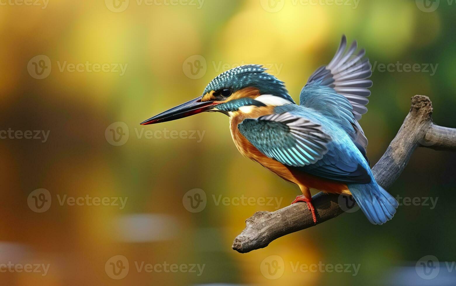 ai généré le commun martin-pêcheur marécages oiseau coloré plumes de différent des oiseaux. génératif ai photo