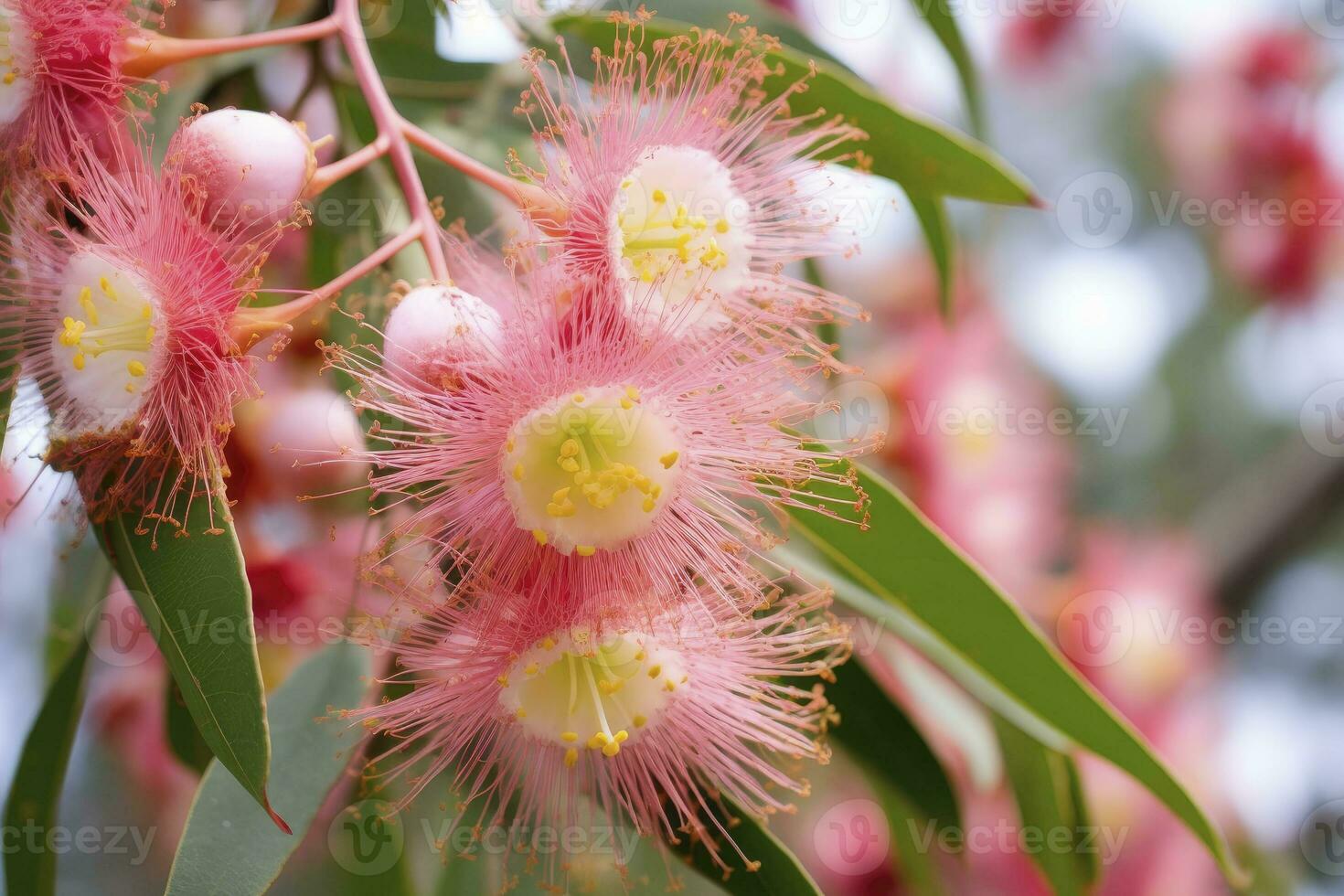 ai généré magnifique gencive arbre rose fleurs et bourgeons. ai généré photo