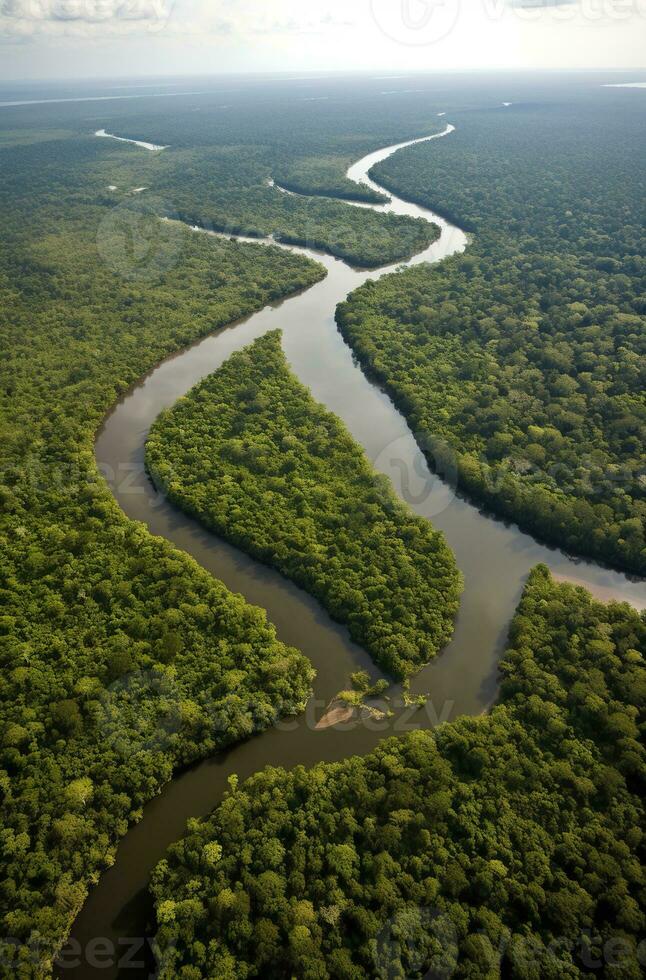 ai généré aérien vue de le amazonas jungle paysage avec rivière plier. génératif ai photo