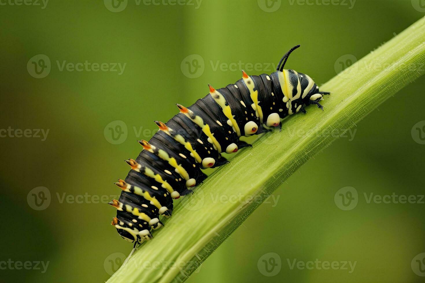 ai généré chenille queue d'aronde papillon. généré ai. photo