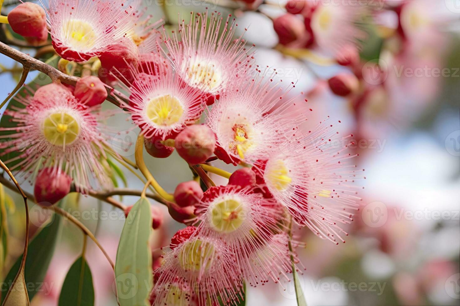 ai généré magnifique gencive arbre rose fleurs et bourgeons. ai généré photo