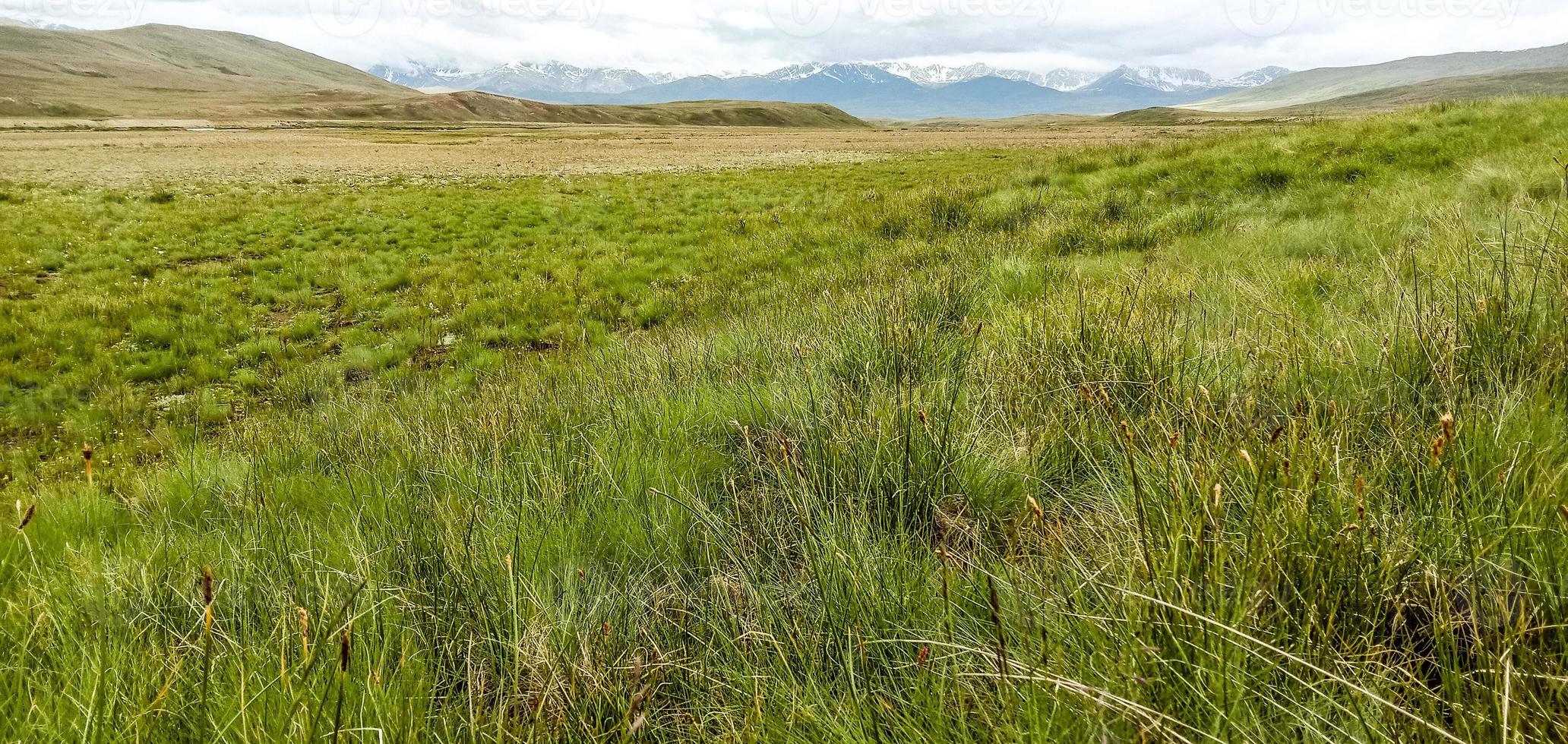 parc national deosai photo