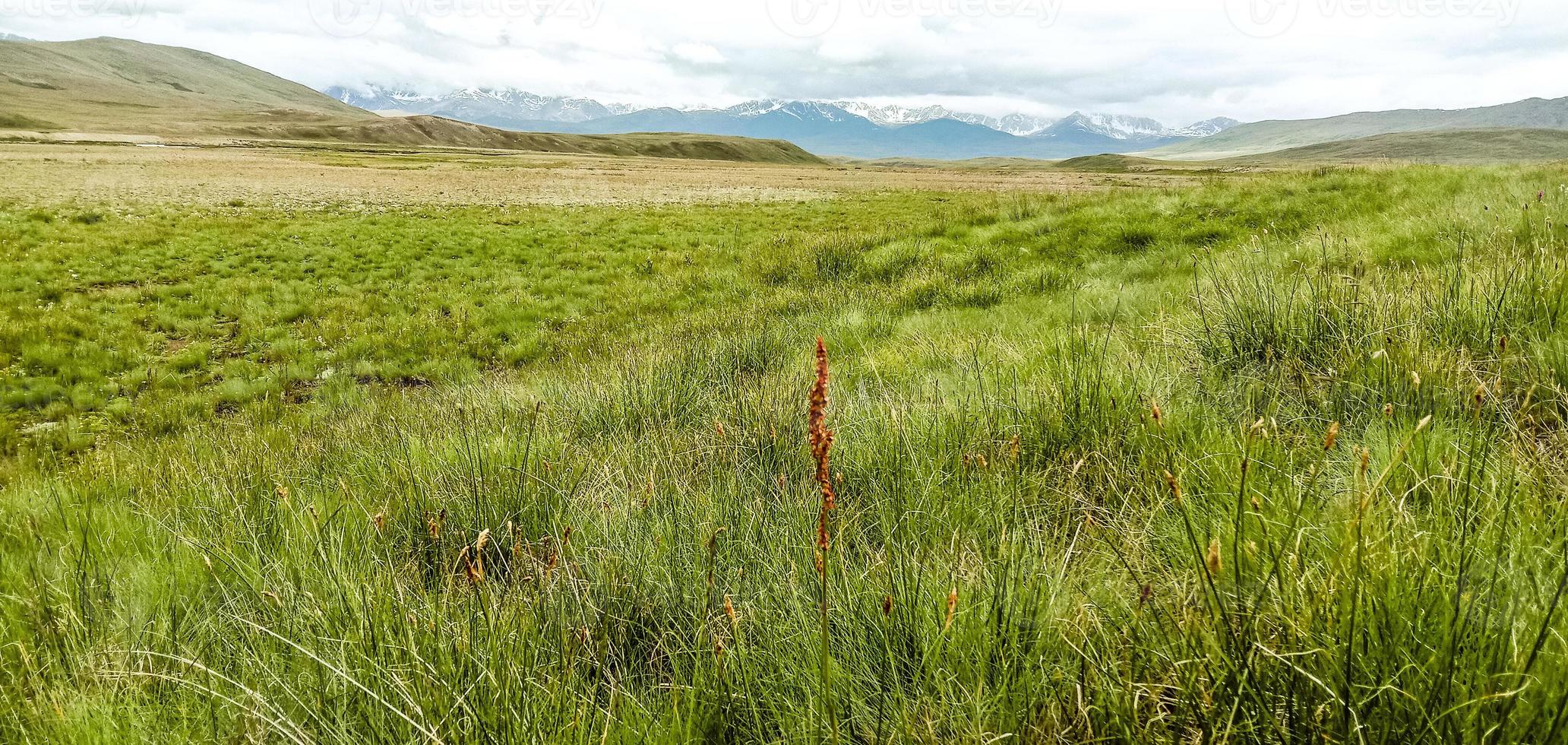 parc national deosai photo