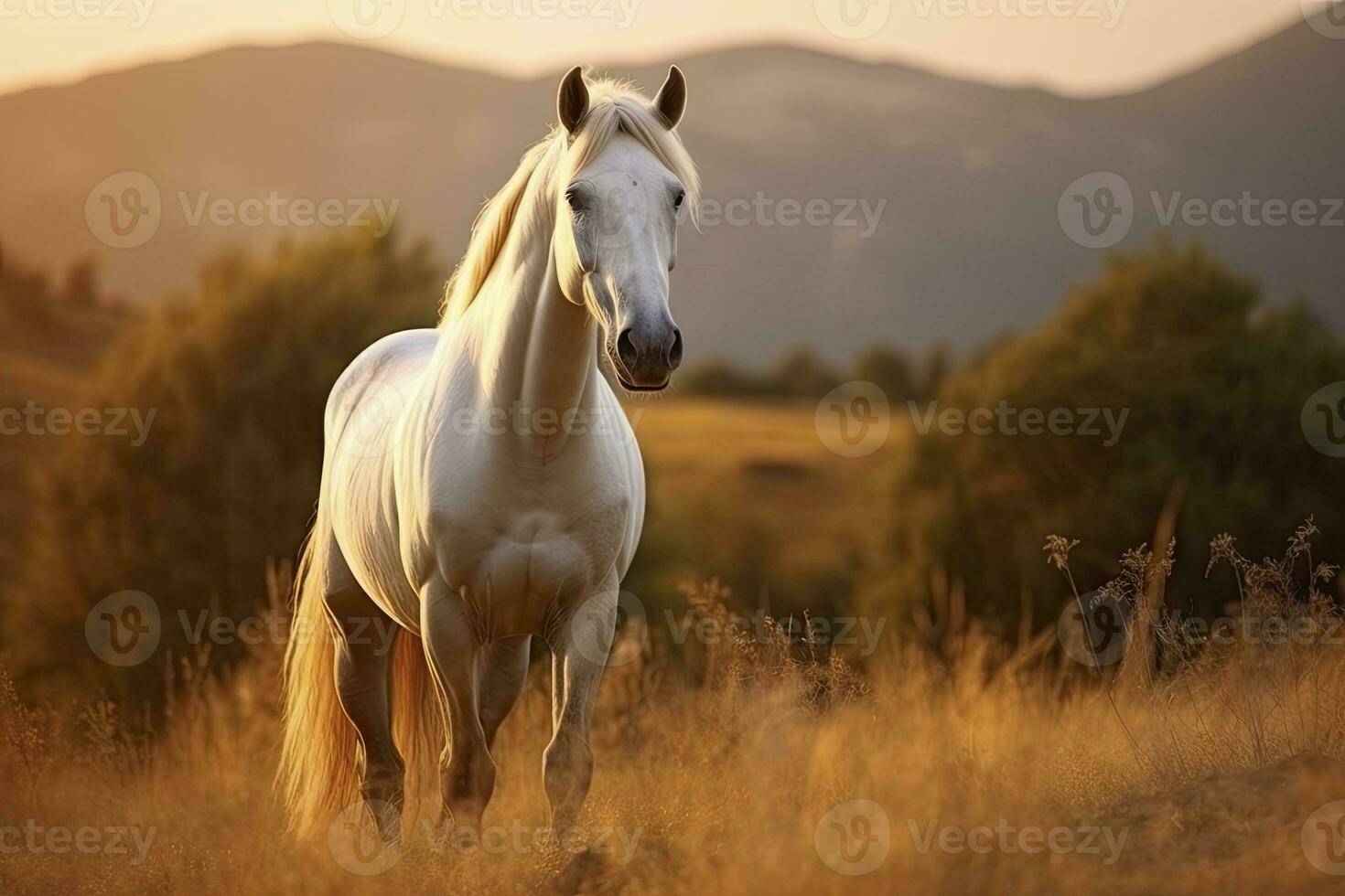 ai généré blanc cheval ou jument dans le montagnes à le coucher du soleil. ai généré photo