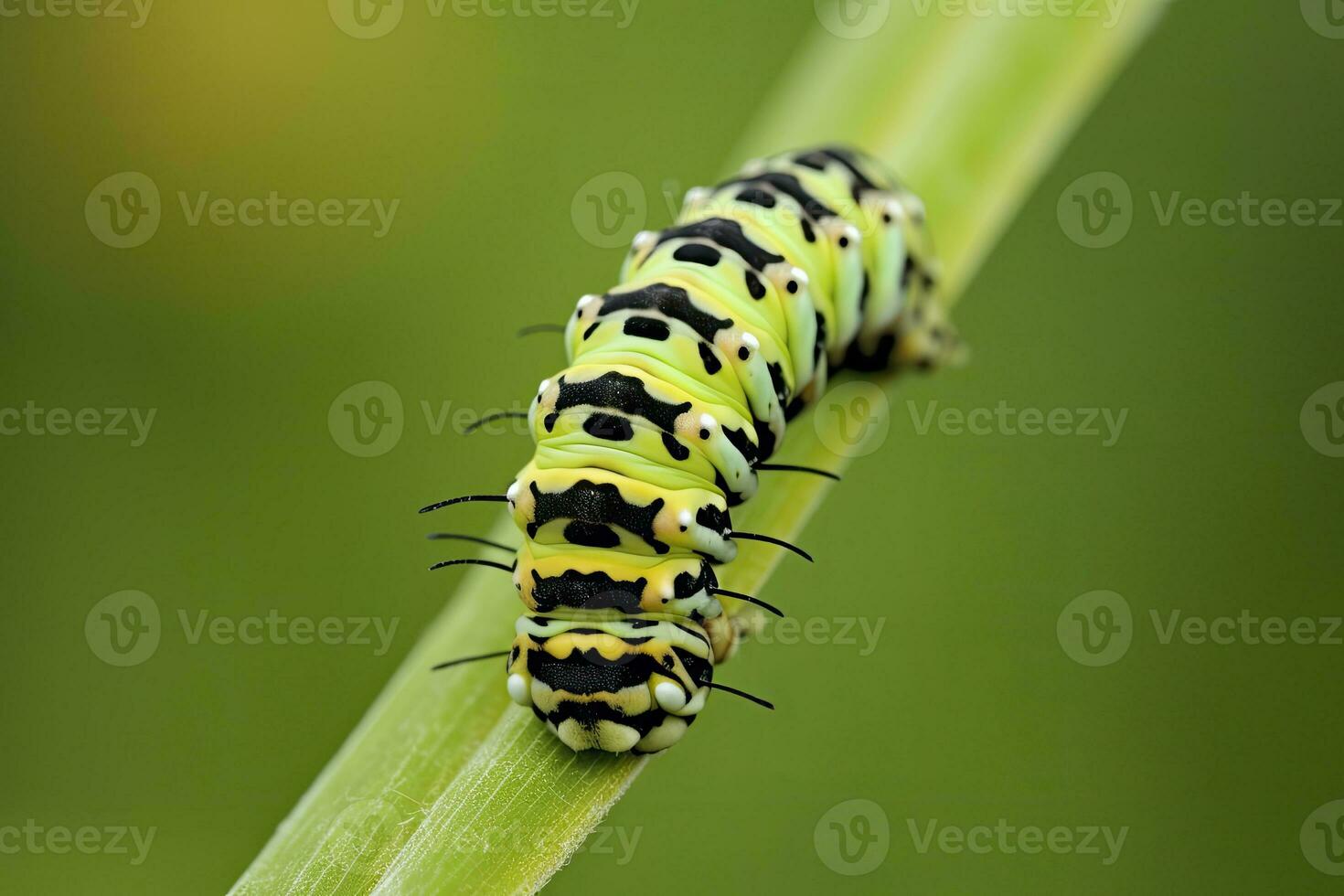 ai généré chenille queue d'aronde papillon. généré ai. photo