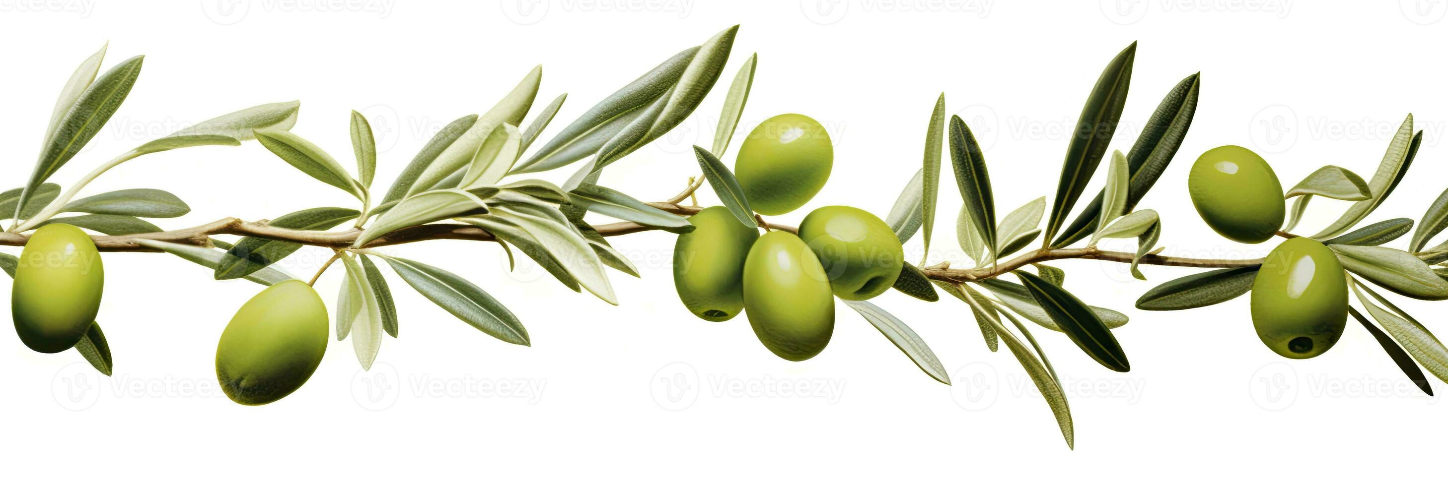 ai généré olive arbre bifurquer, vert Olives et feuilles sur blanc Contexte. ai généré. photo