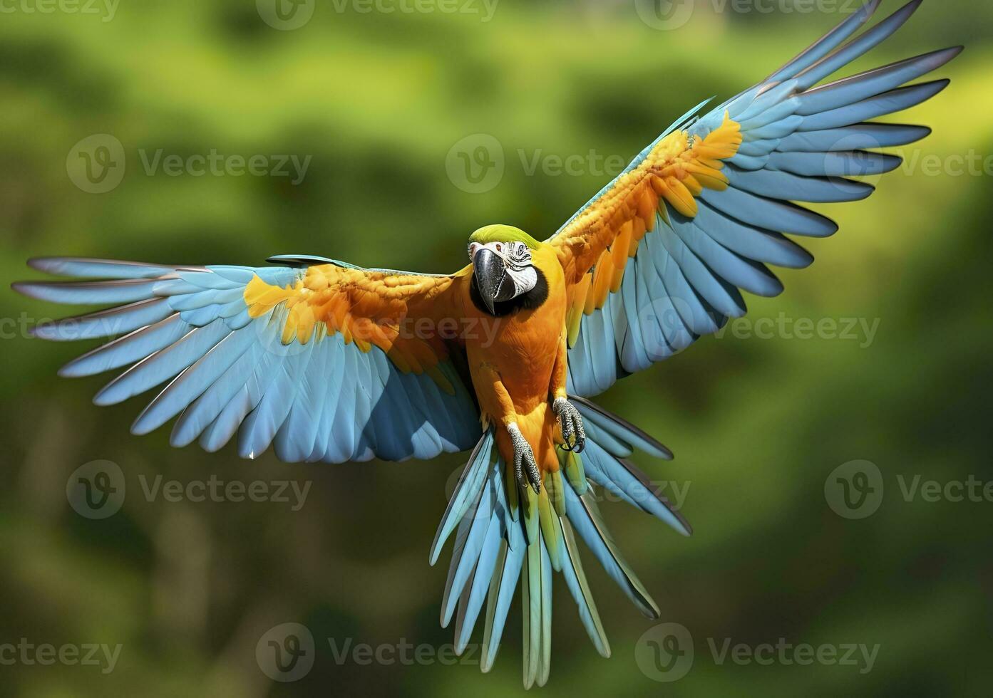 ai généré en volant ara, magnifique oiseau. génératif ai photo