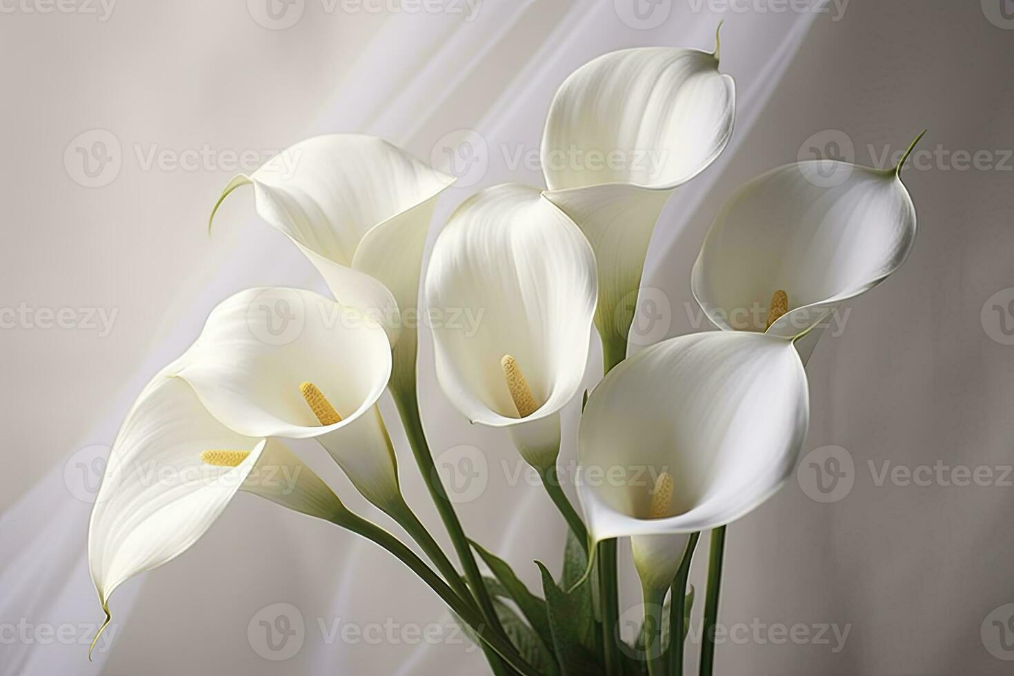 ai généré blanc mariage la nature lis beauté fleur plante fleur flore calla. ai généré photo