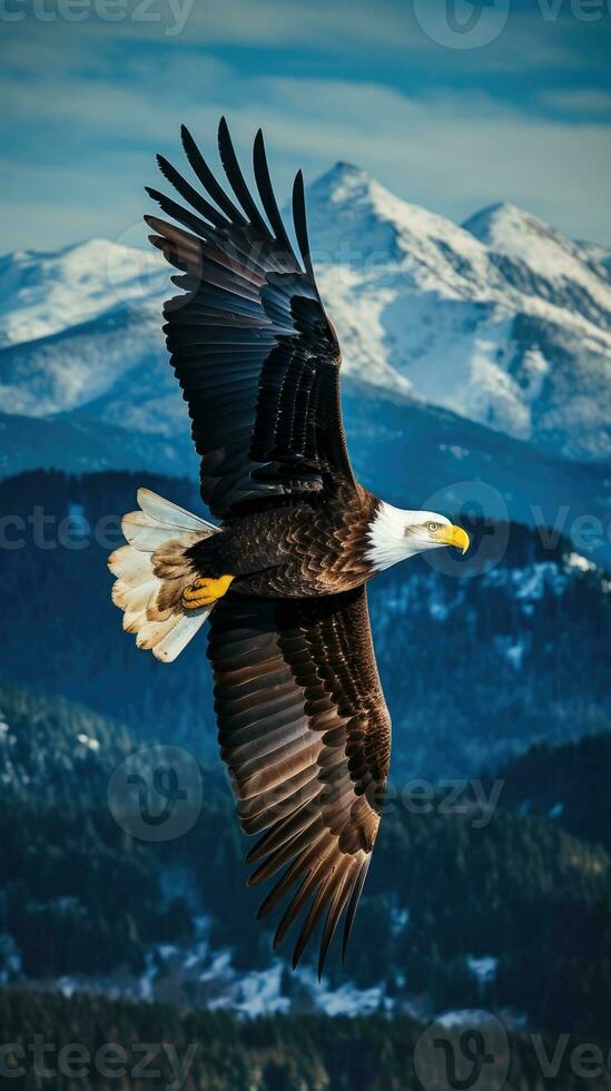 ai généré américain chauve Aigle dans le la nature Contexte photo