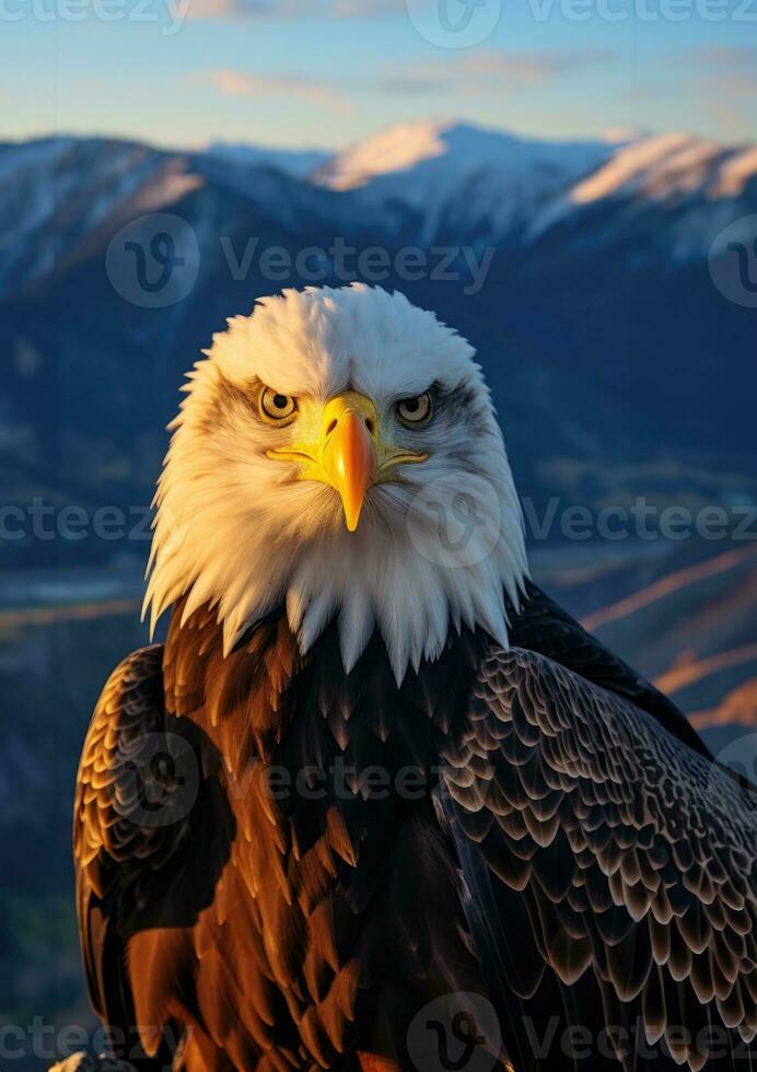 ai généré américain chauve Aigle dans le la nature Contexte photo