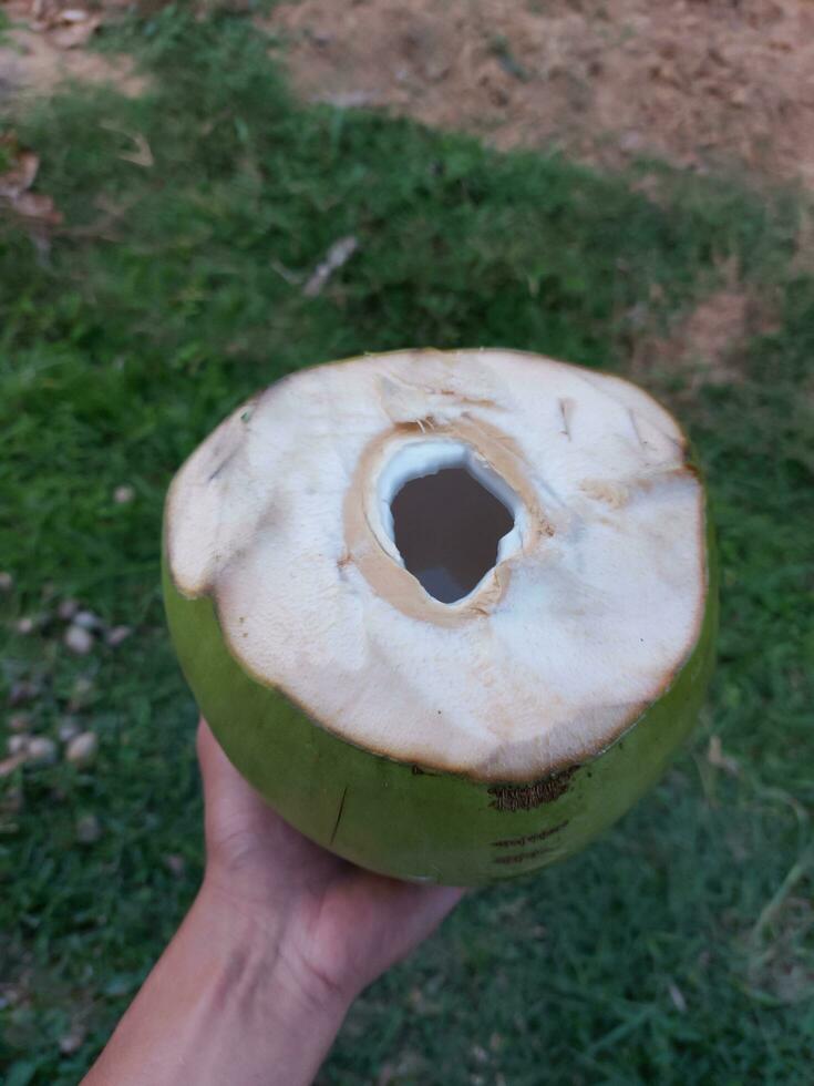 éclaboussure de noix de coco jus isolé sur Contexte photo