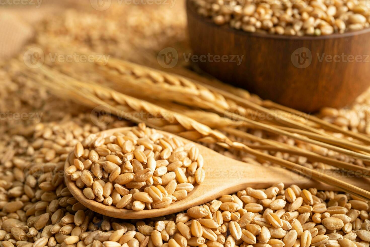 céréales blé, Commerce exportation et économie concept. photo