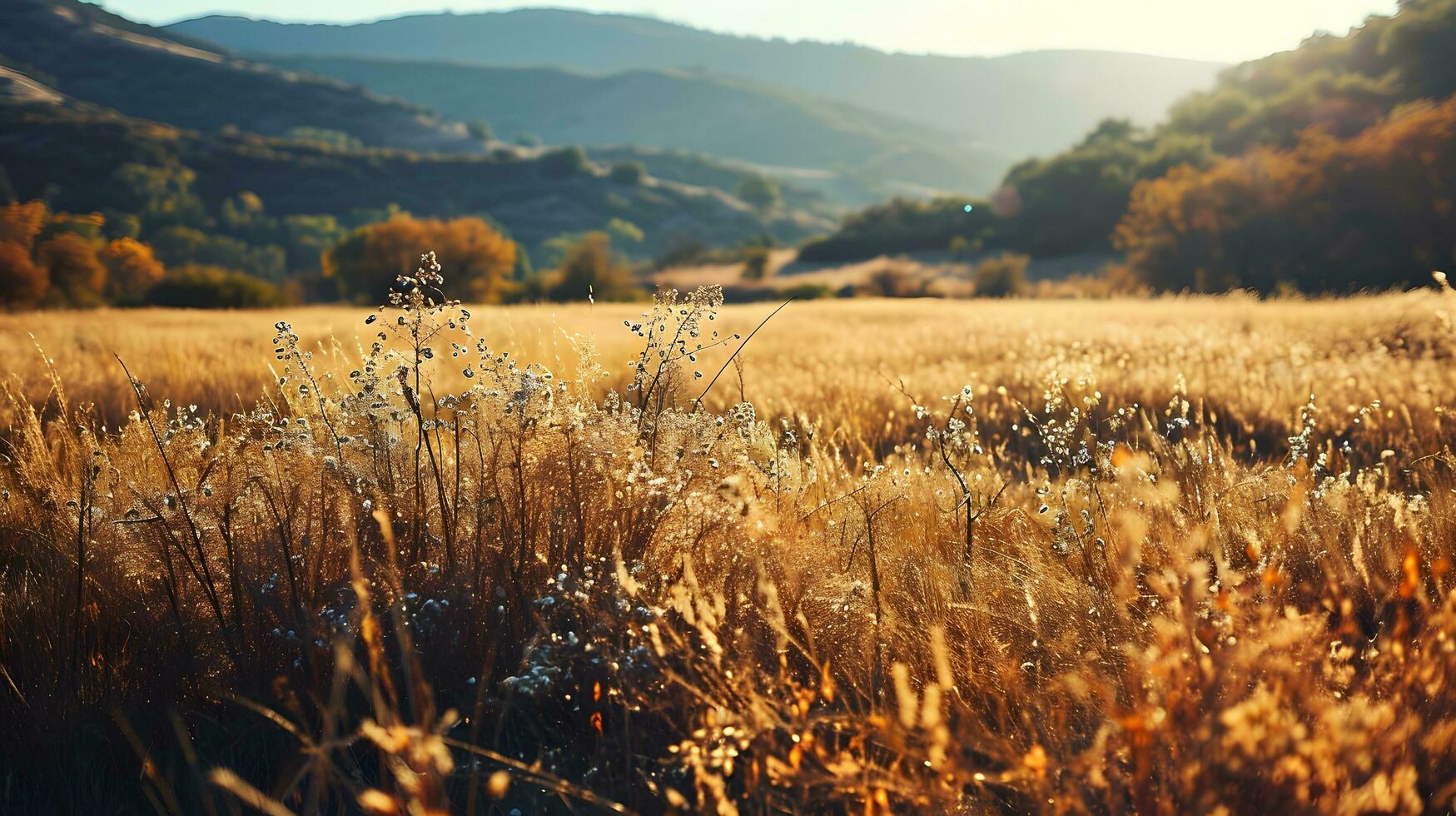 ai généré l'automne splendeur dans le montagnes avec embrasé herbes photo