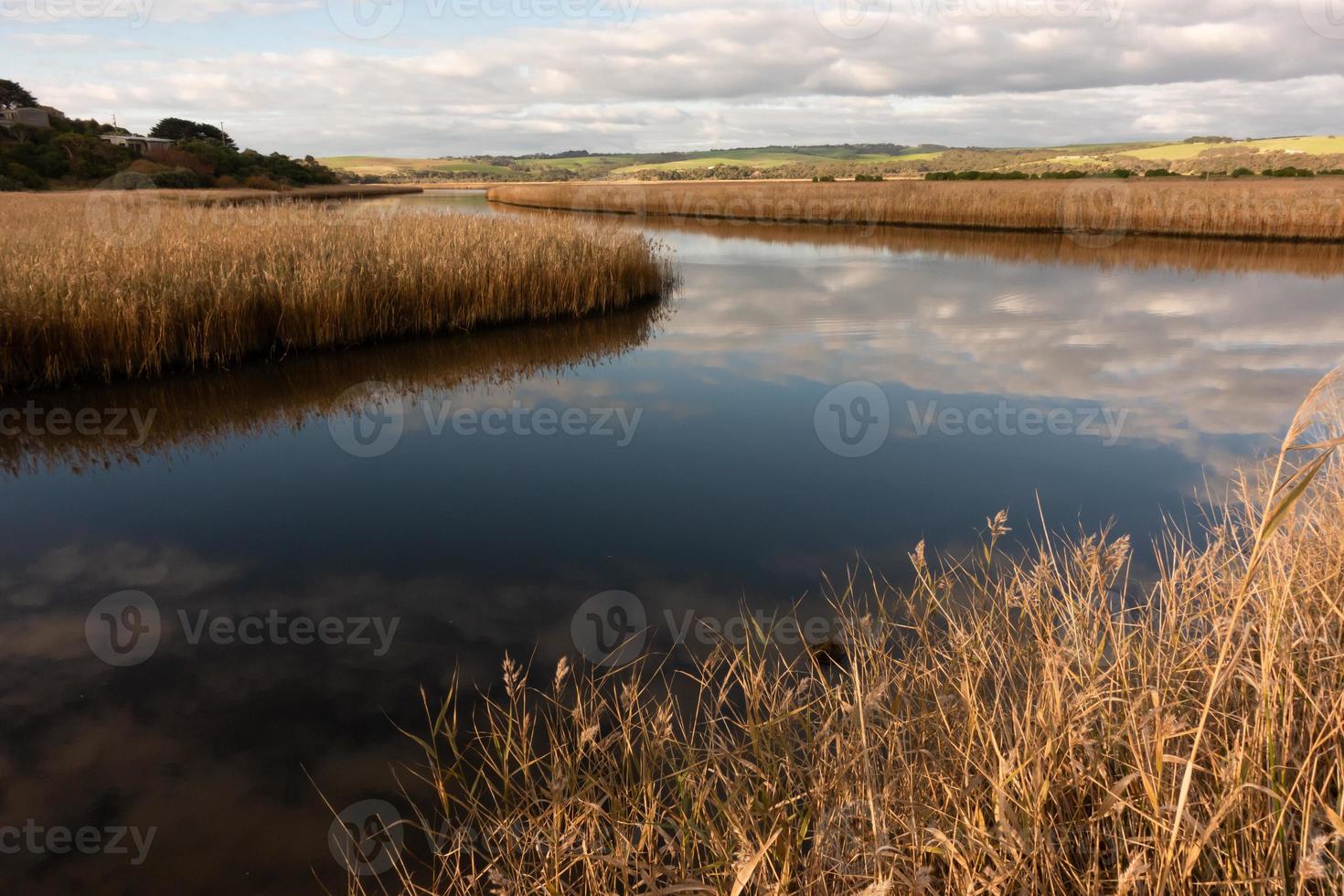 Rivière avec de l'herbe de couleur dorée à la zone humide de Princetown photo