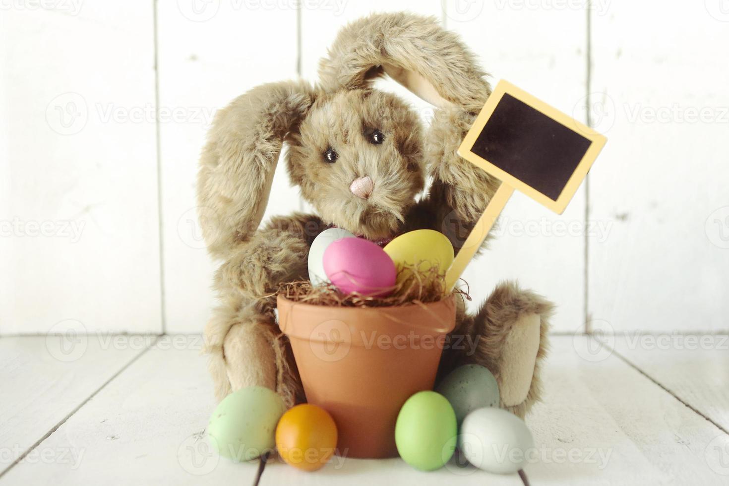 image d'occasion de vacances sur le thème du lapin de pâques photo