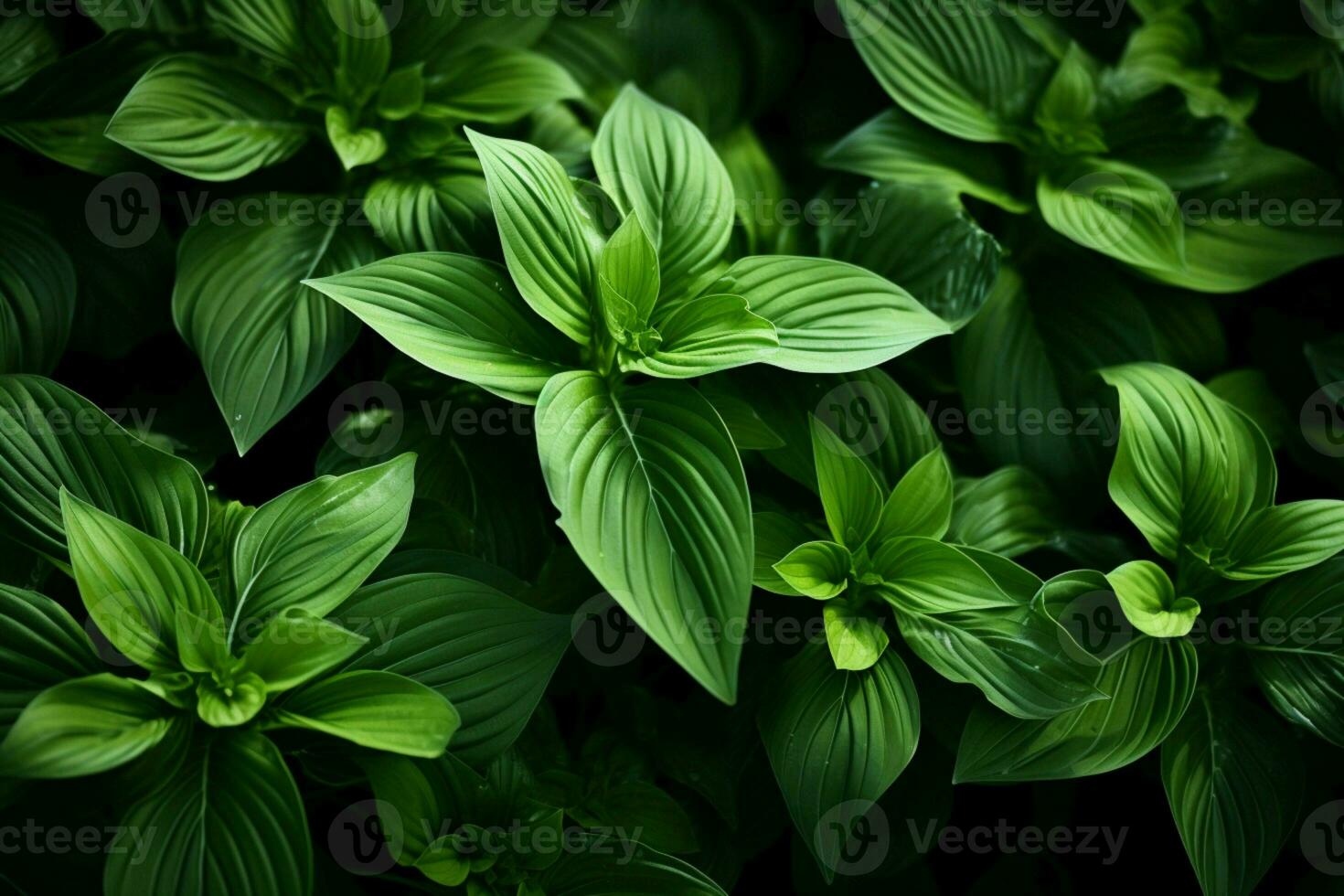 ai généré aérien ballet feuilles dans milieu air création une fascinant afficher de natures mouvement ai généré photo