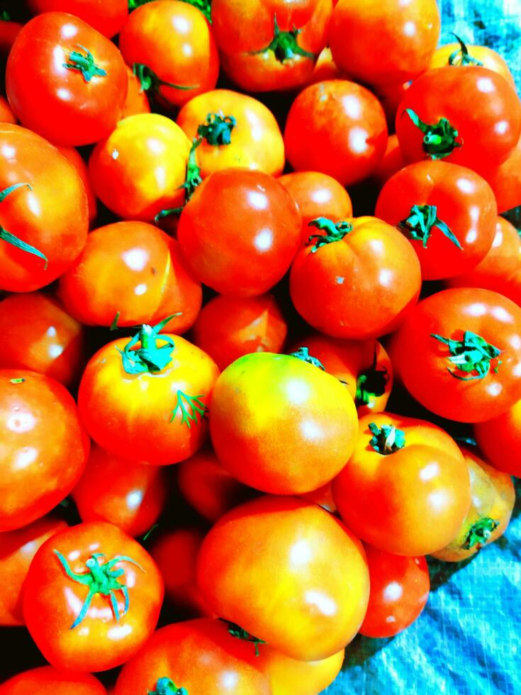 avantages de tomates 1aide dans poids perte 2bon pour yeux 3améliore digestion 4empêche cancer 5sang pression photo