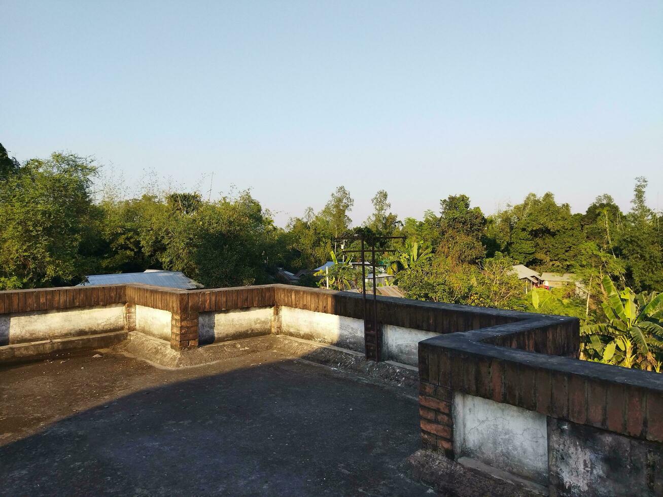 prendre plaisir le fascinant paysage dans le embaumé les après-midi de le toit, photo