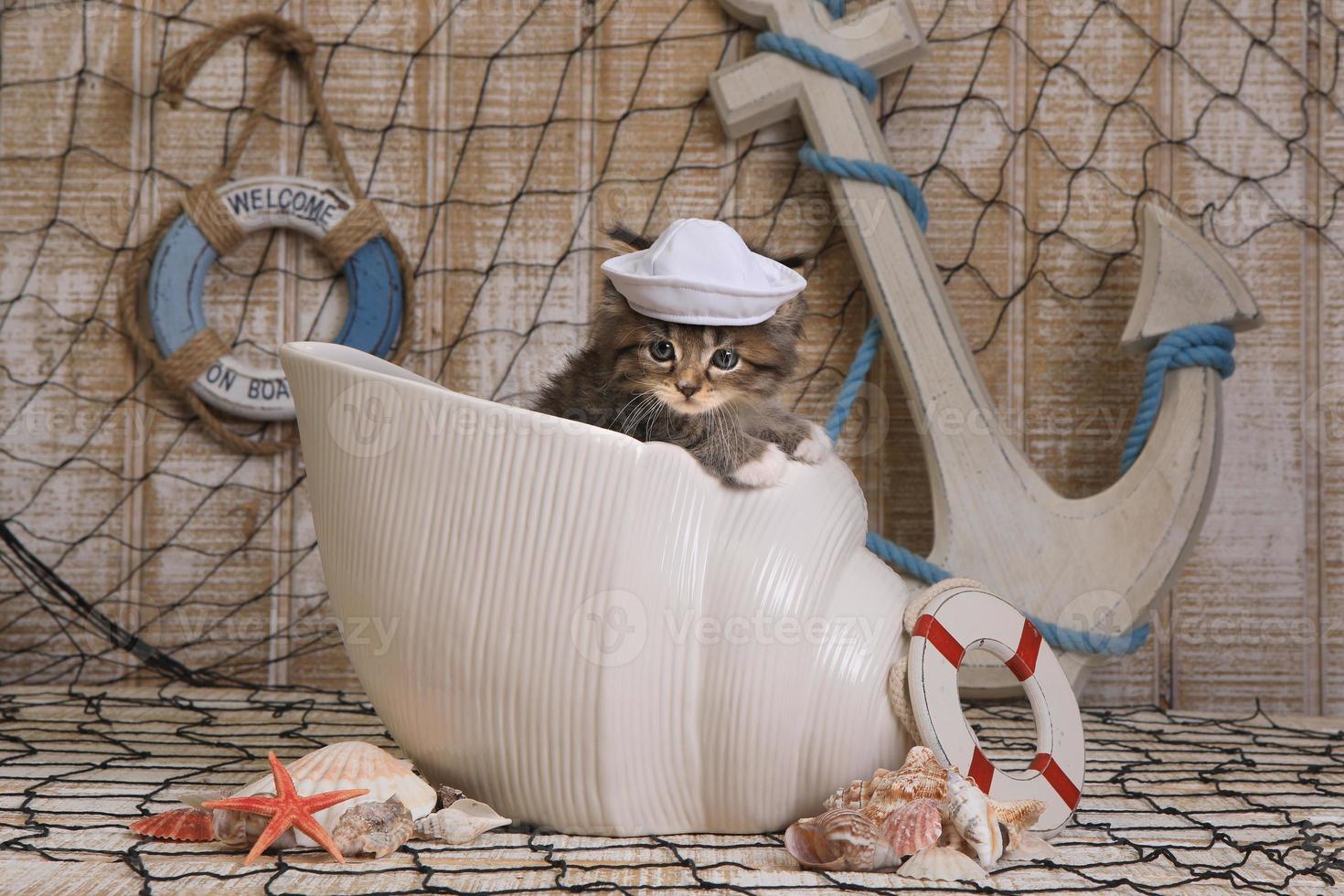 chaton sur fond sur le thème de l'océan photo