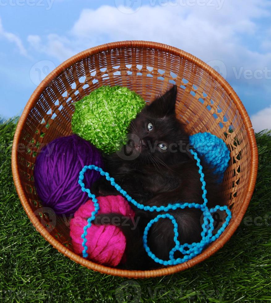 adorable chaton dans une mallette remplie de laine photo
