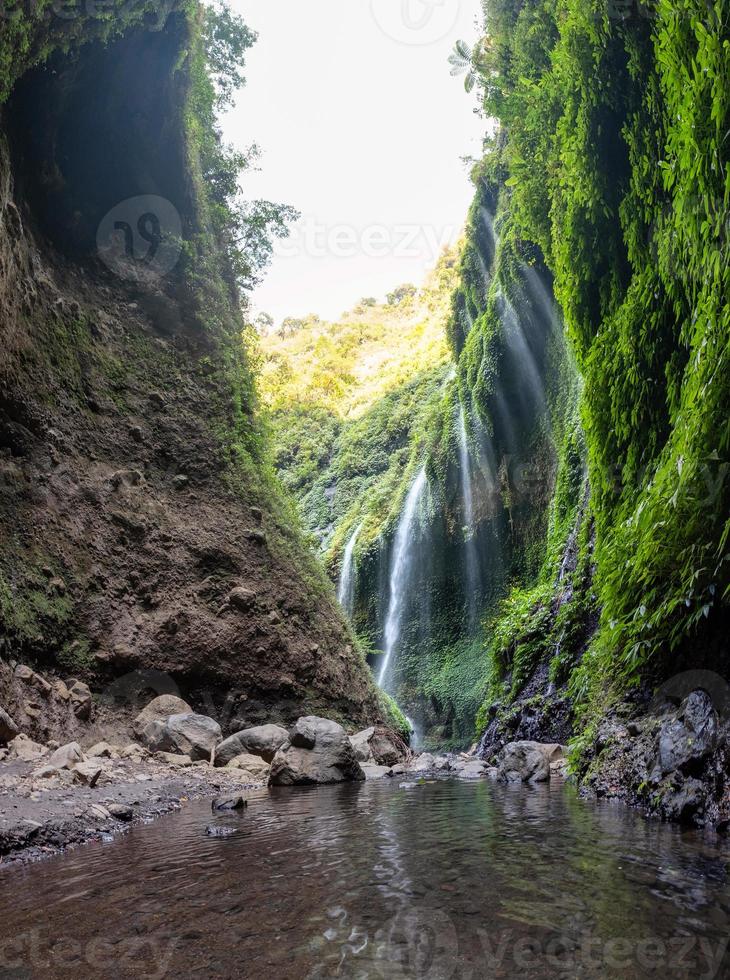 cascade majestueuse qui coule sur une falaise rocheuse dans la forêt tropicale photo