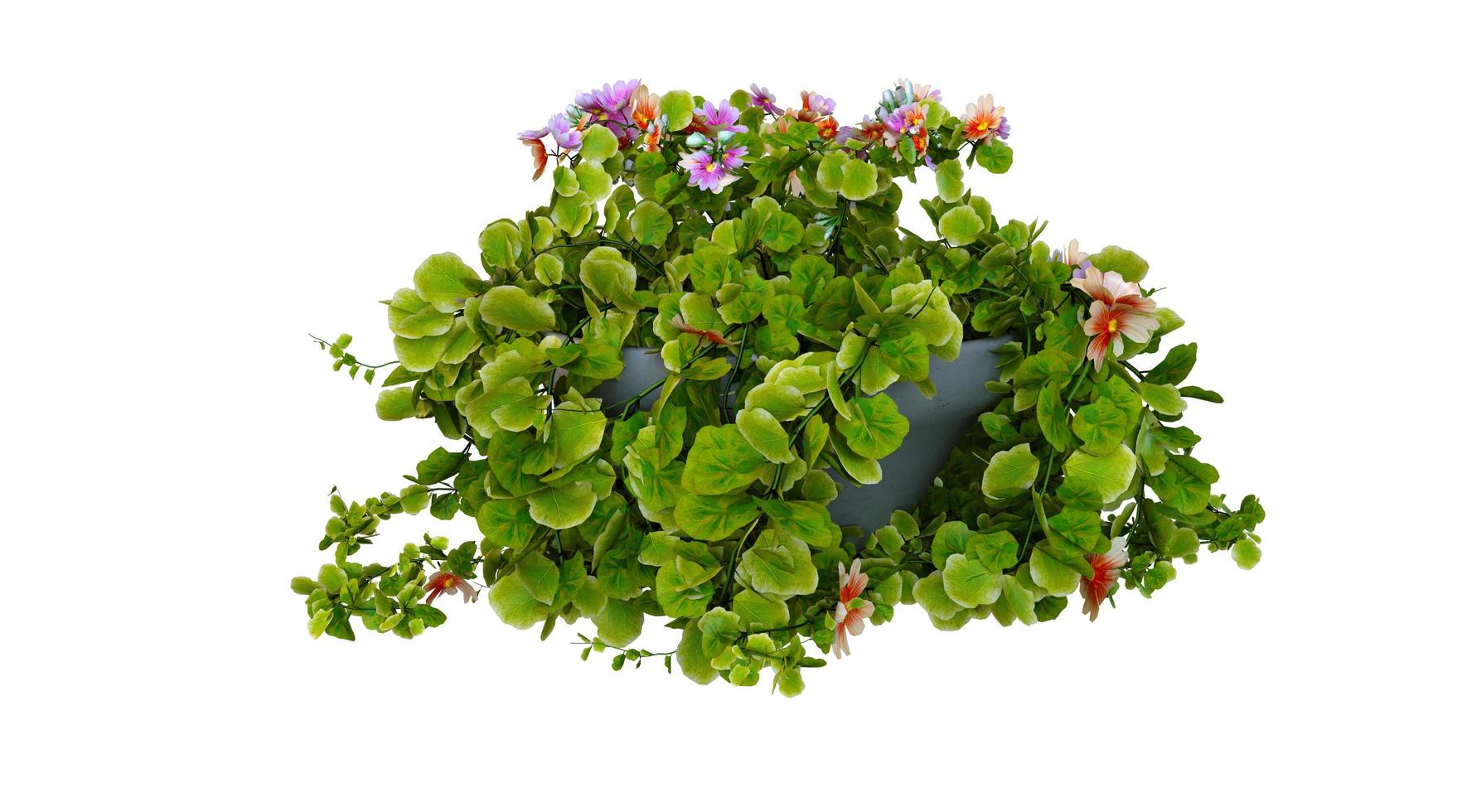 plante verte à fleurs rendu 3d moderne en pot photo