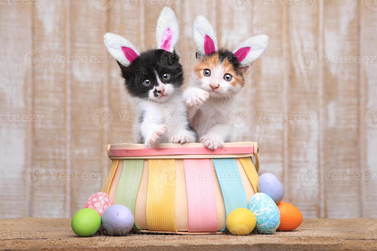 Adorable paire de chatons dans un panier de Pâques photo