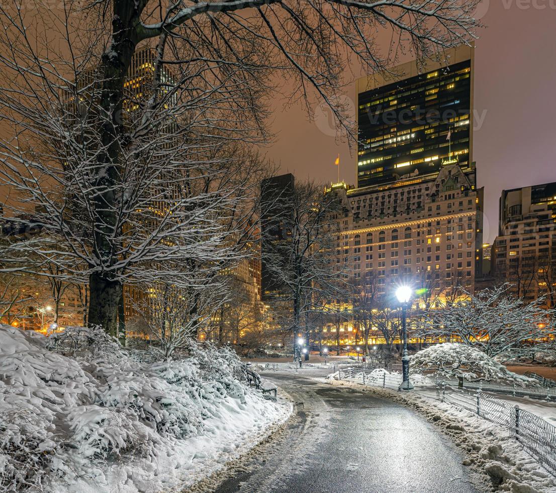 parc central dans la tempête de neige d'hiver photo