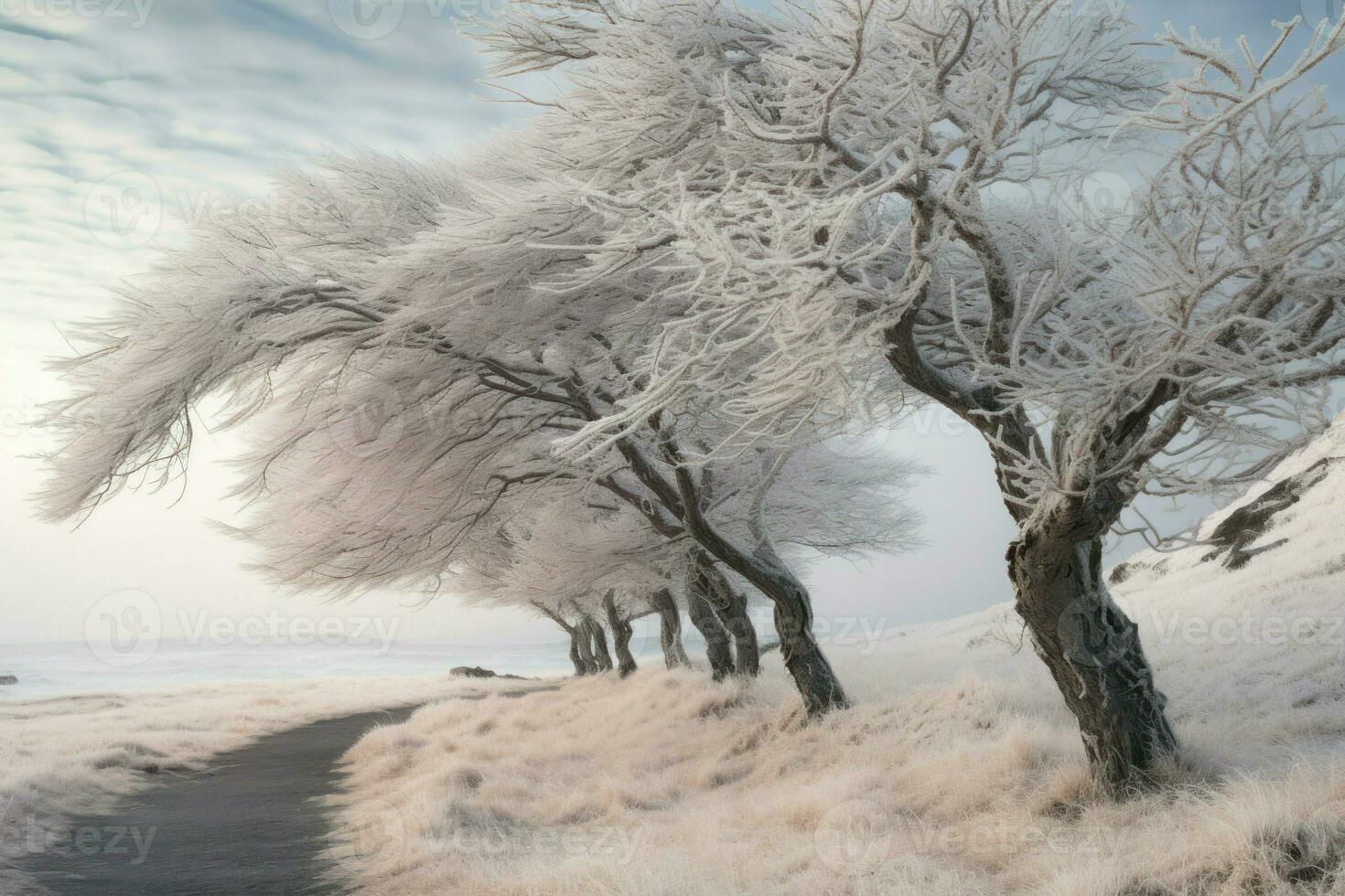 ai généré hiver venteux des arbres - génératif ai photo