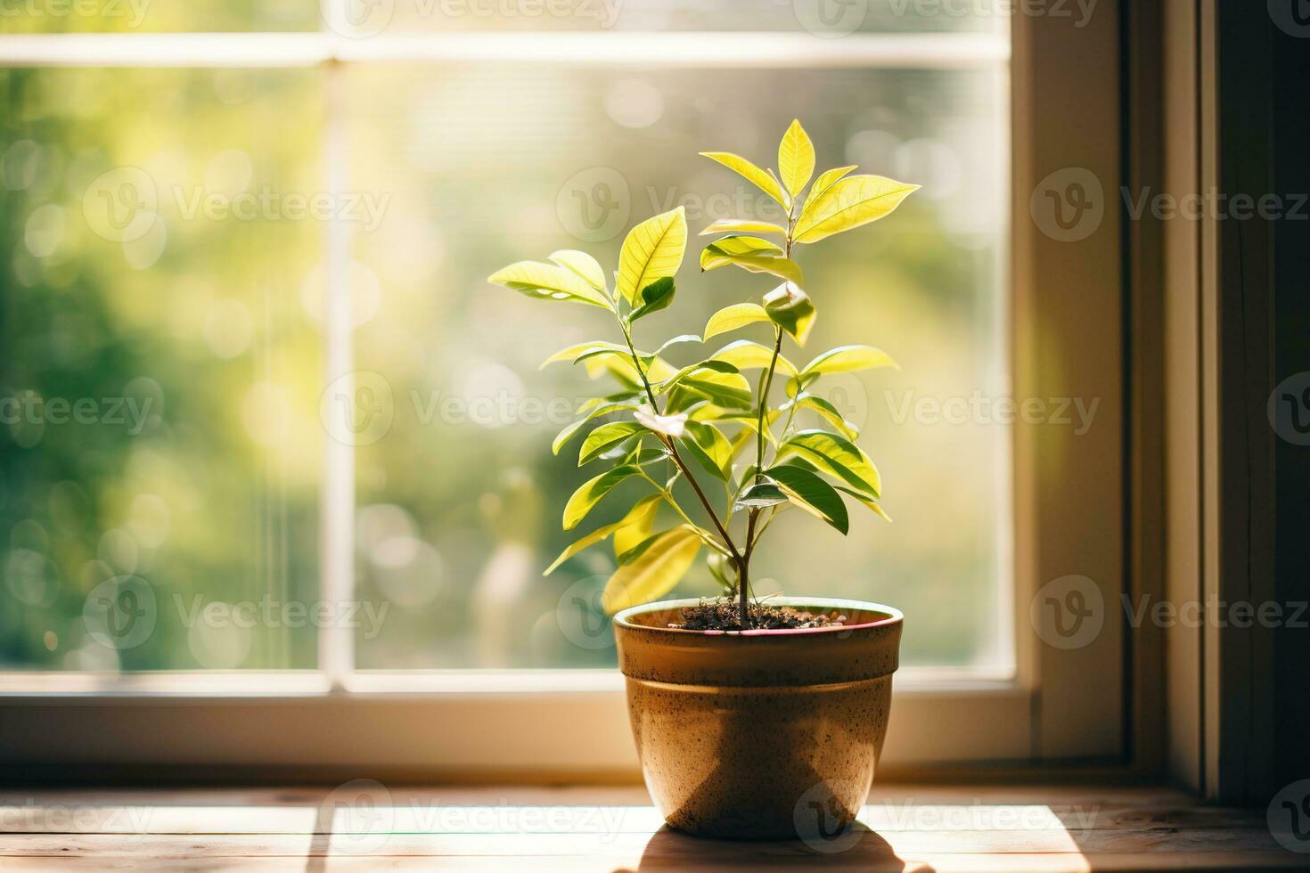 ai généré fermer mis en pot maison plante sur le rebord de fenêtre avec flou fenêtre sur Contexte photo