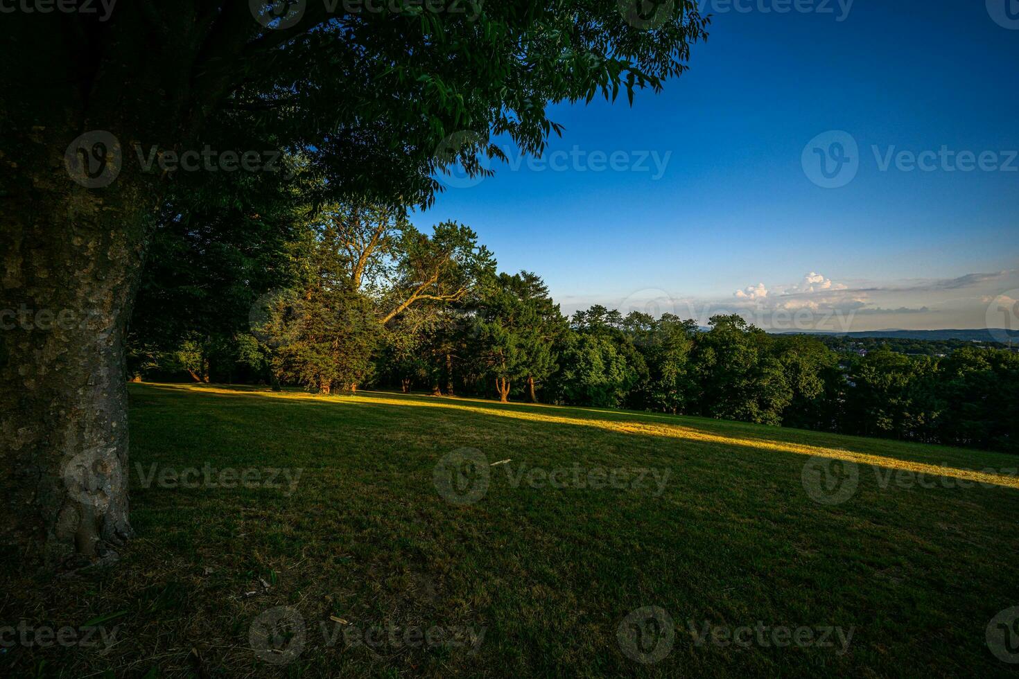 Poughkeepsie Université colline parc photo