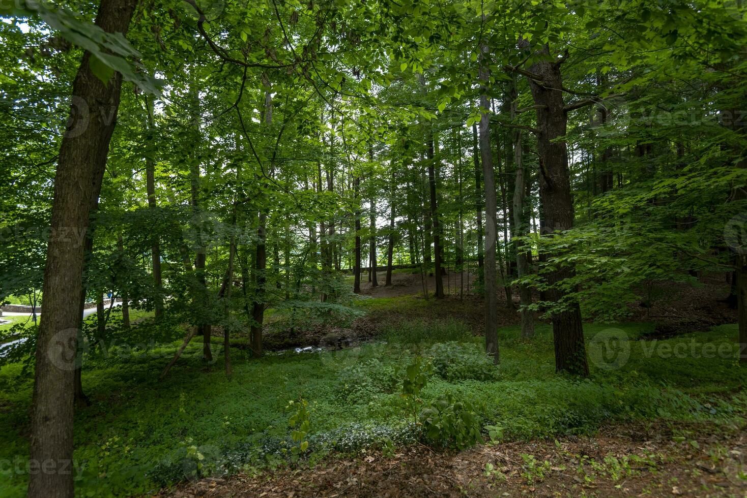 parc d'état de letchworth photo