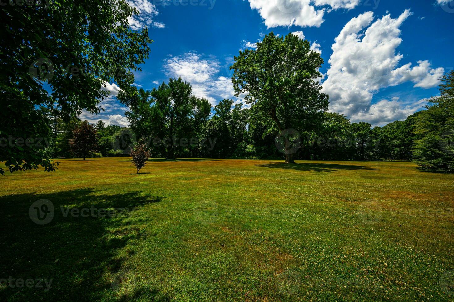 vanderbilt Manoir nationale historique site photo